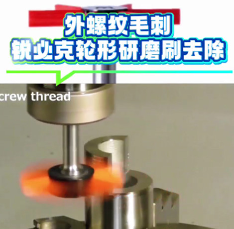 锐必克轮形刷
