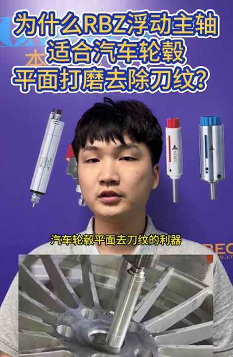 锐必克研磨刷