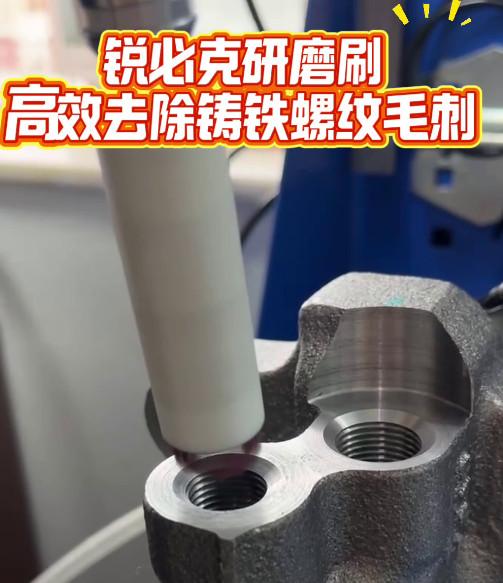 锐必克研磨刷