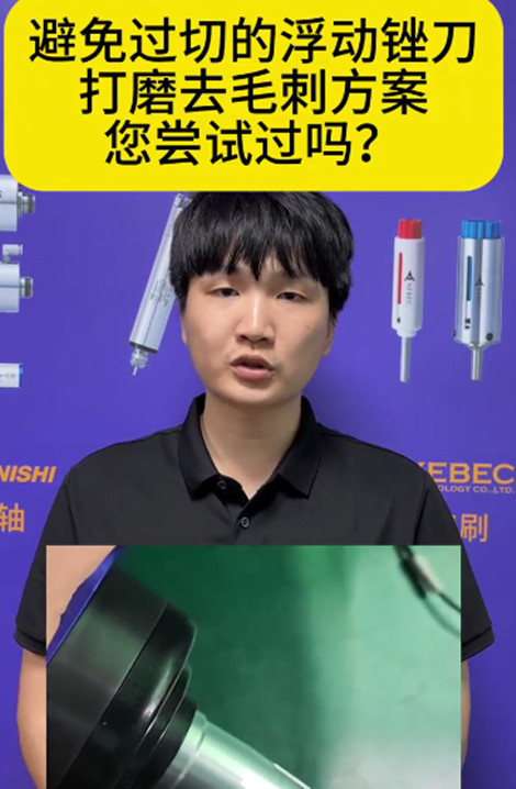 RBZ浮动锉刀
